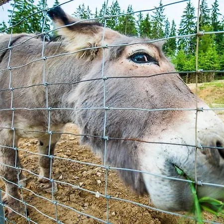Kompleks Zagron Resort Istebna